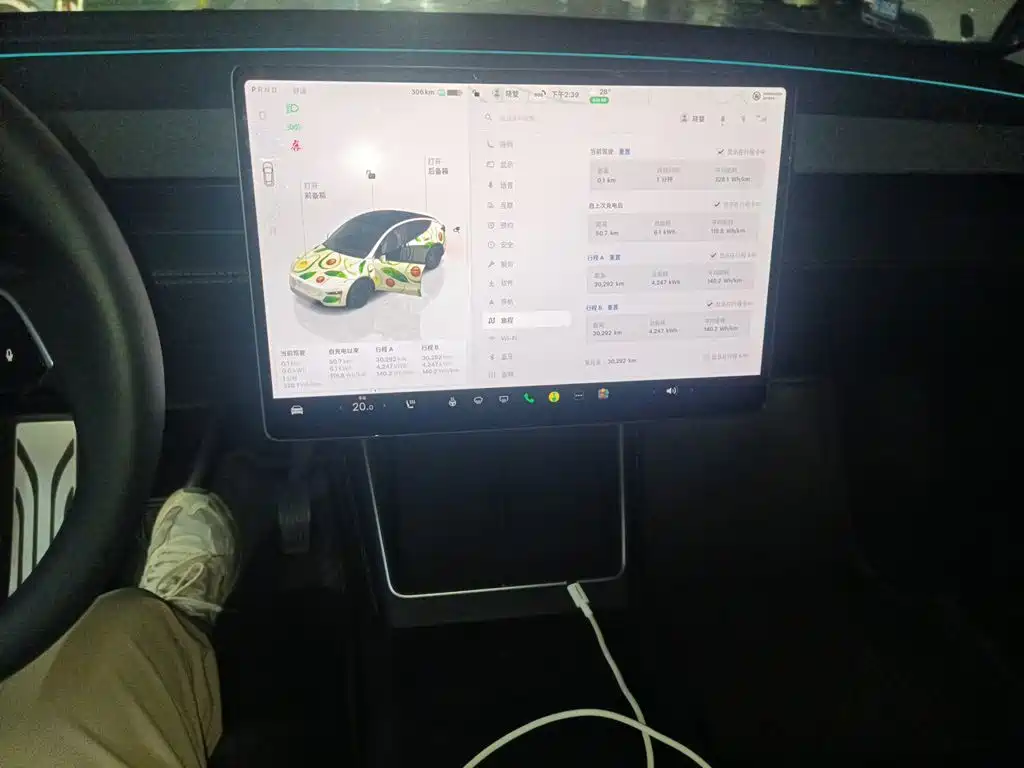 Tesla Model Y — миниатюра 9