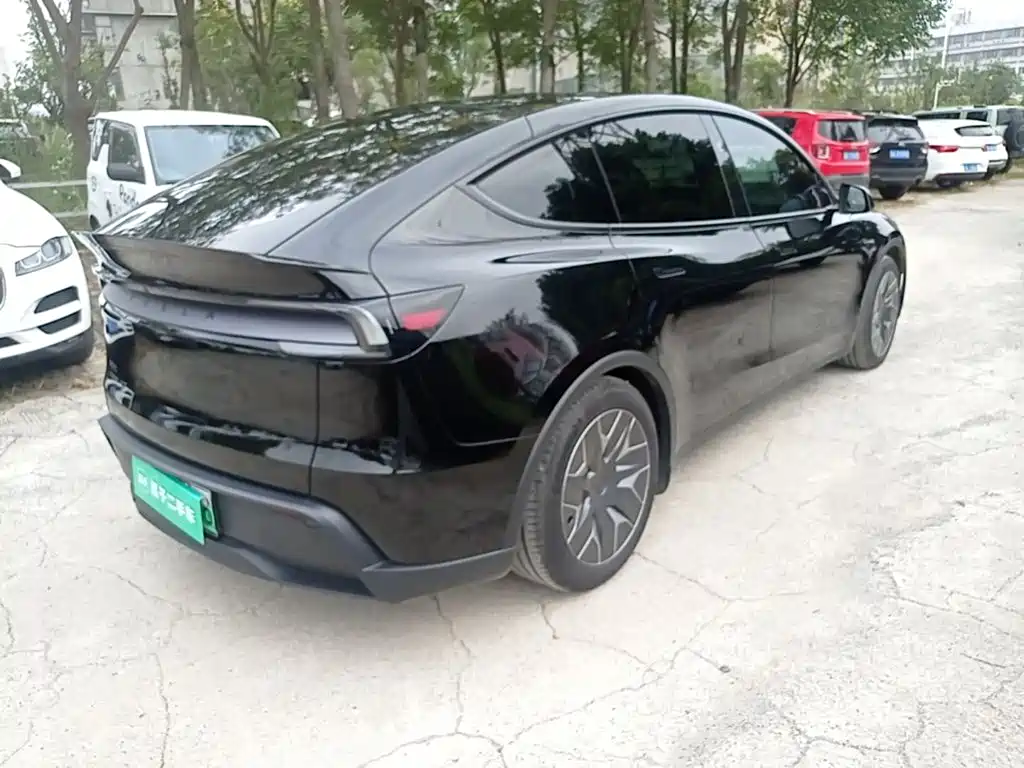 Tesla Model Y L — миниатюра 7