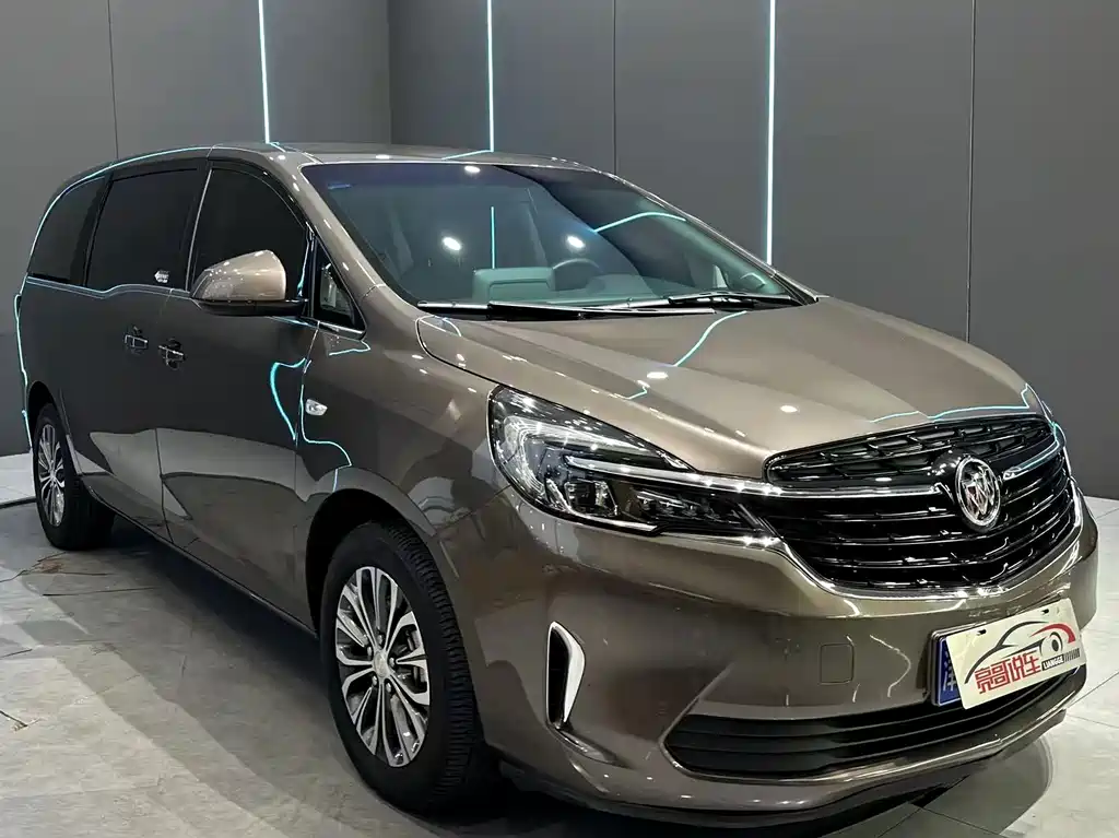 Buick GL8 — миниатюра 3