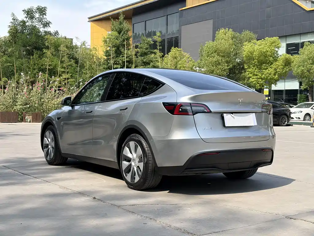 Tesla Model Y — миниатюра 8