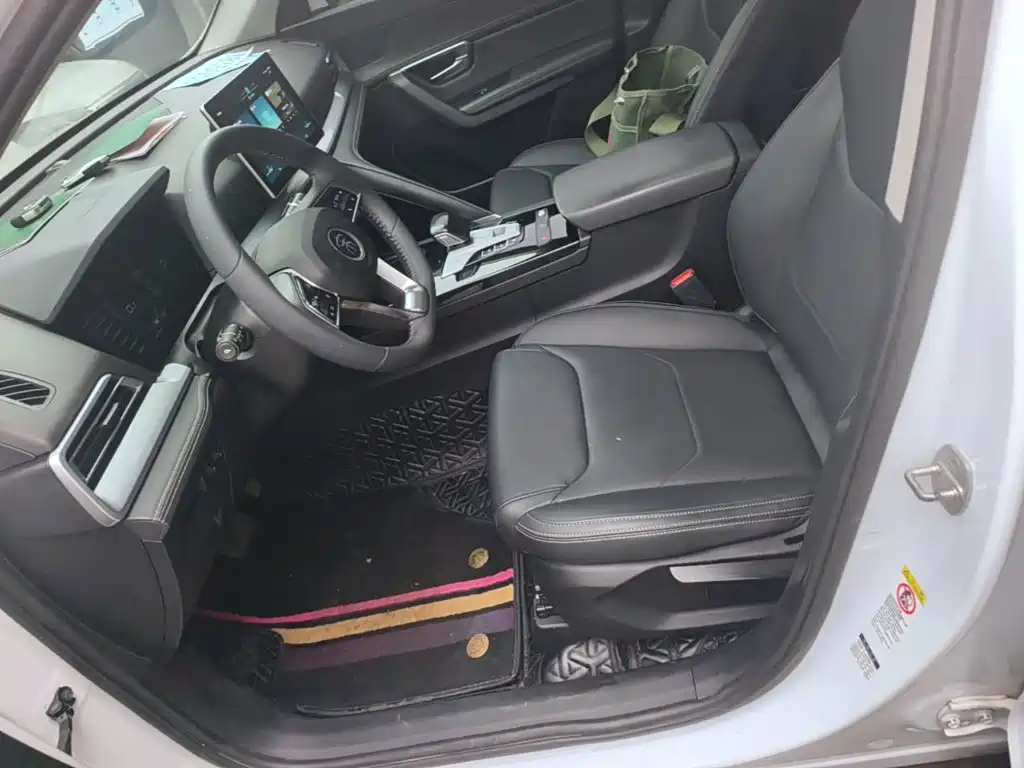 BYD Pro — миниатюра 15