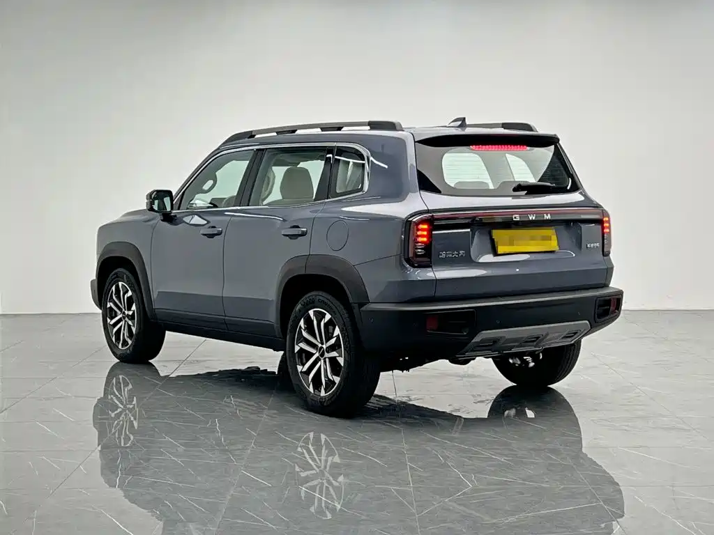 Haval 长城大狗 — миниатюра 4