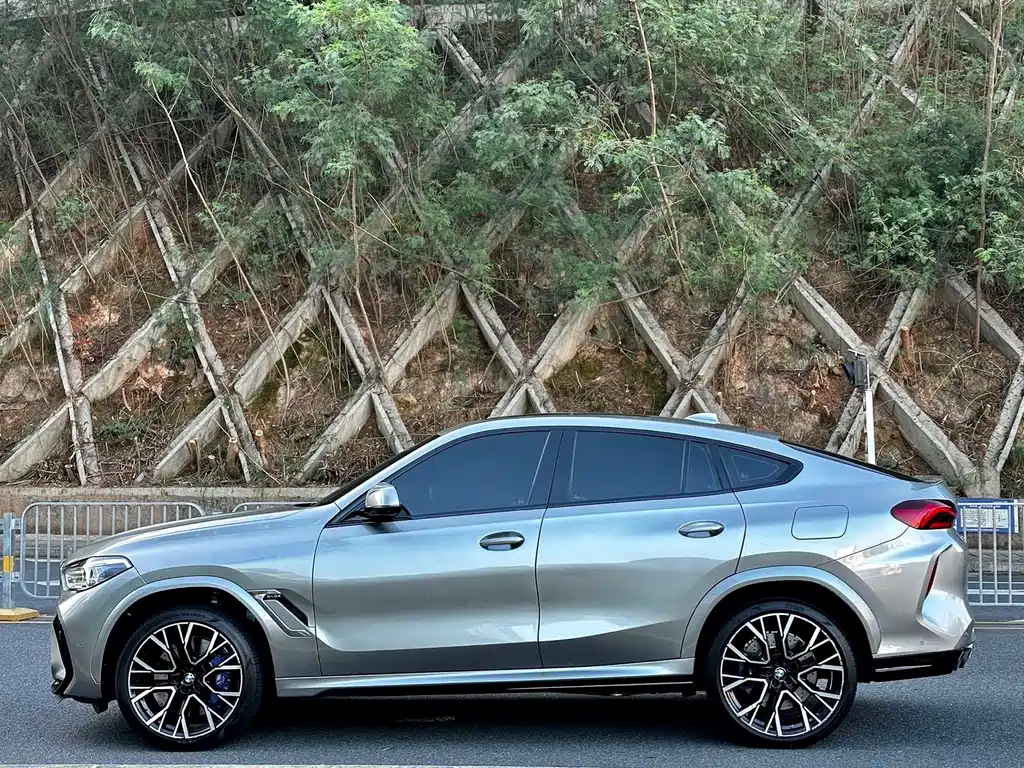 BMW X6 M X6 M, фото 3