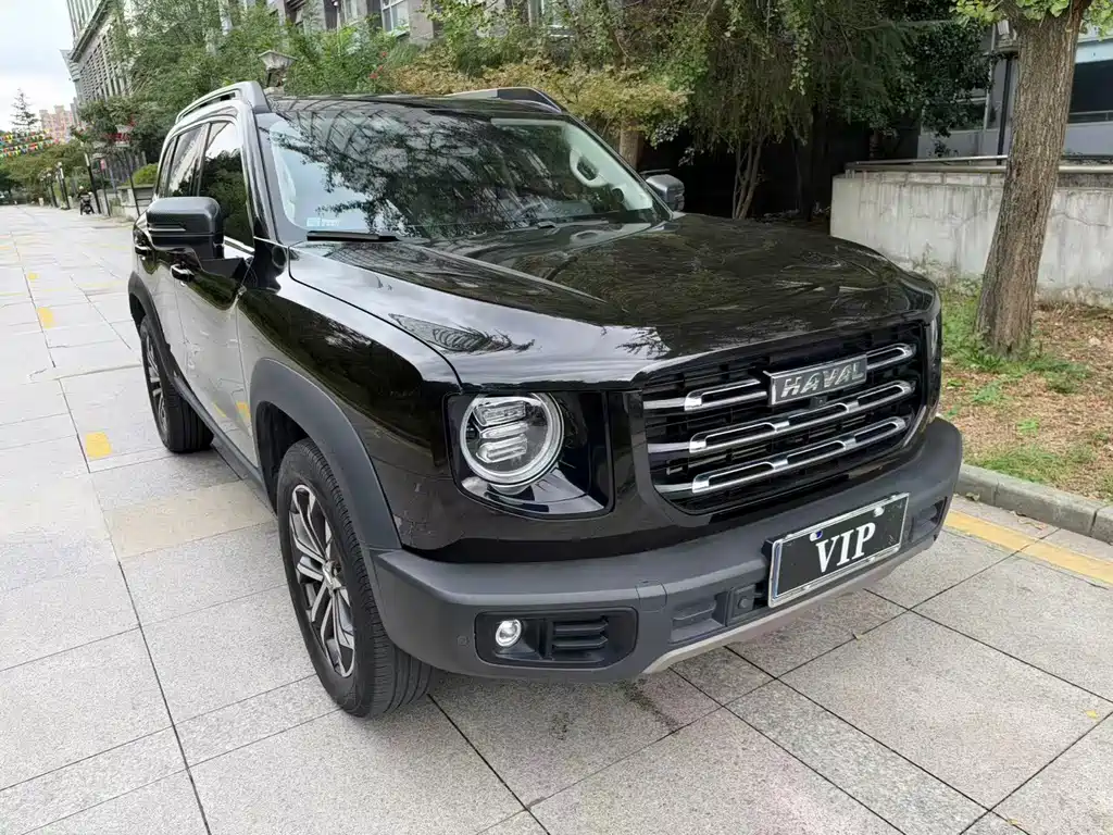 Haval 长城大狗 — миниатюра 3