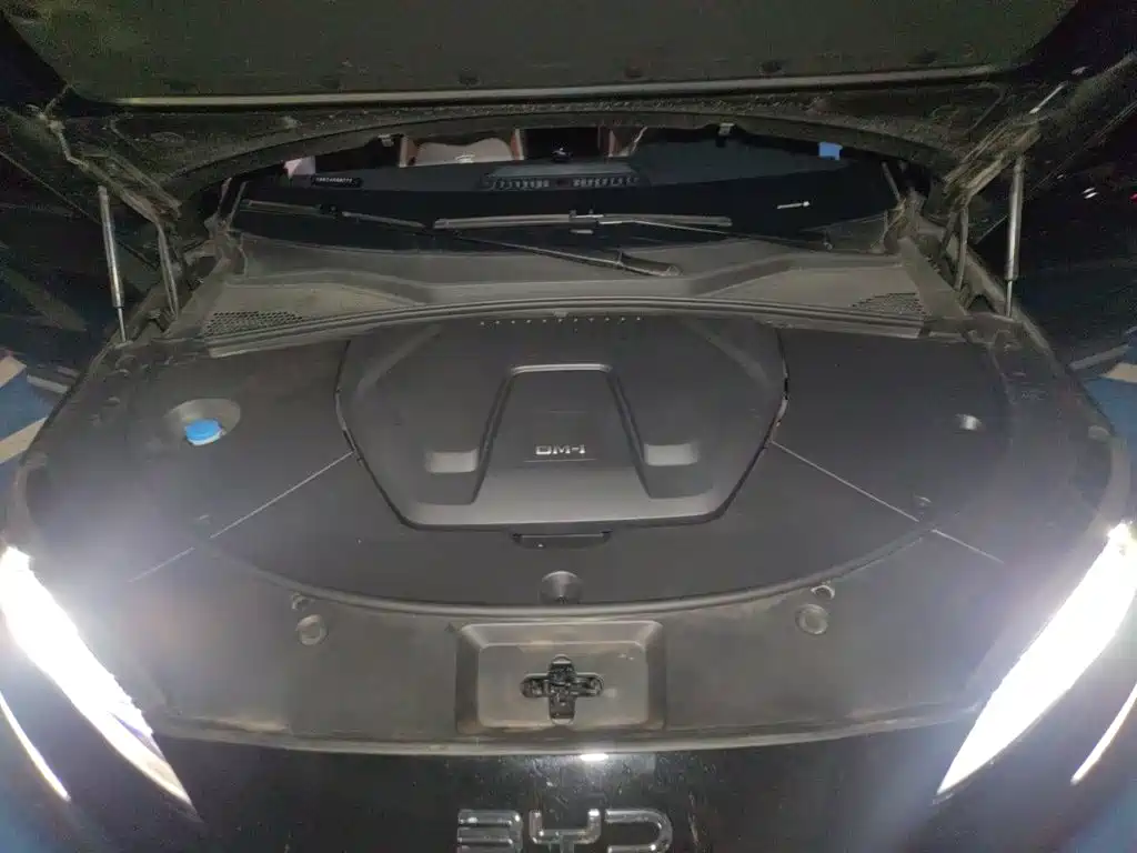 BYD PLUS New Energy — миниатюра 21