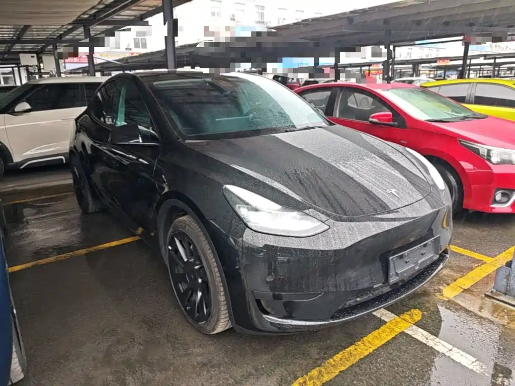 Tesla Model Y — миниатюра 4