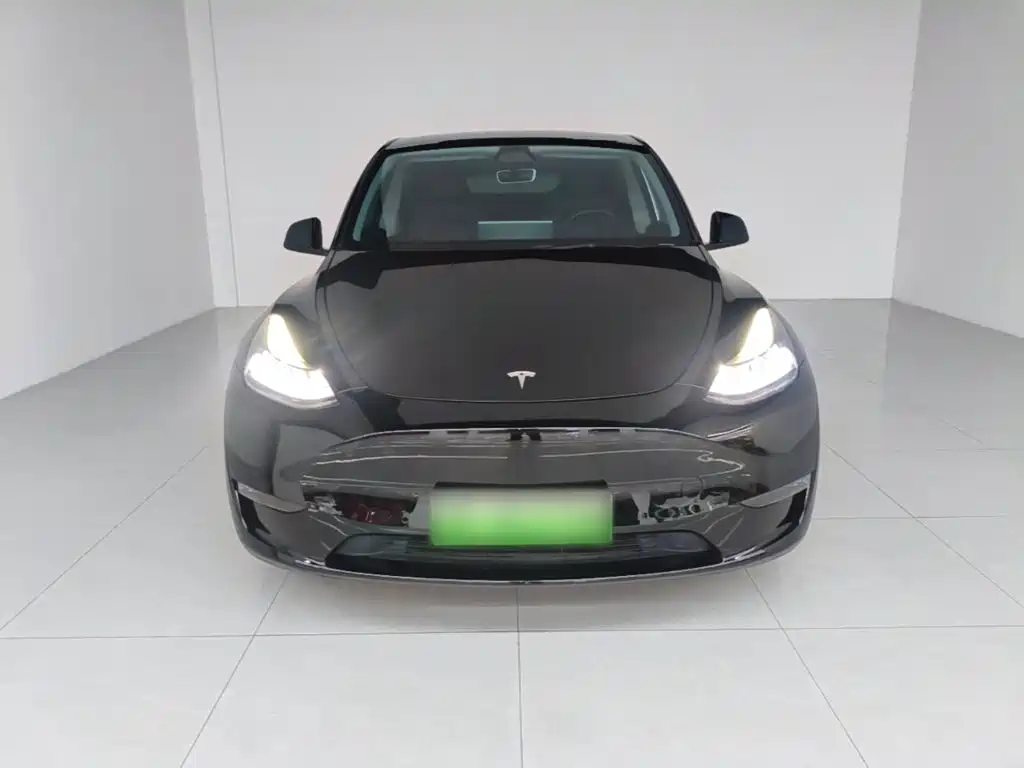 Tesla Model Y — миниатюра 3