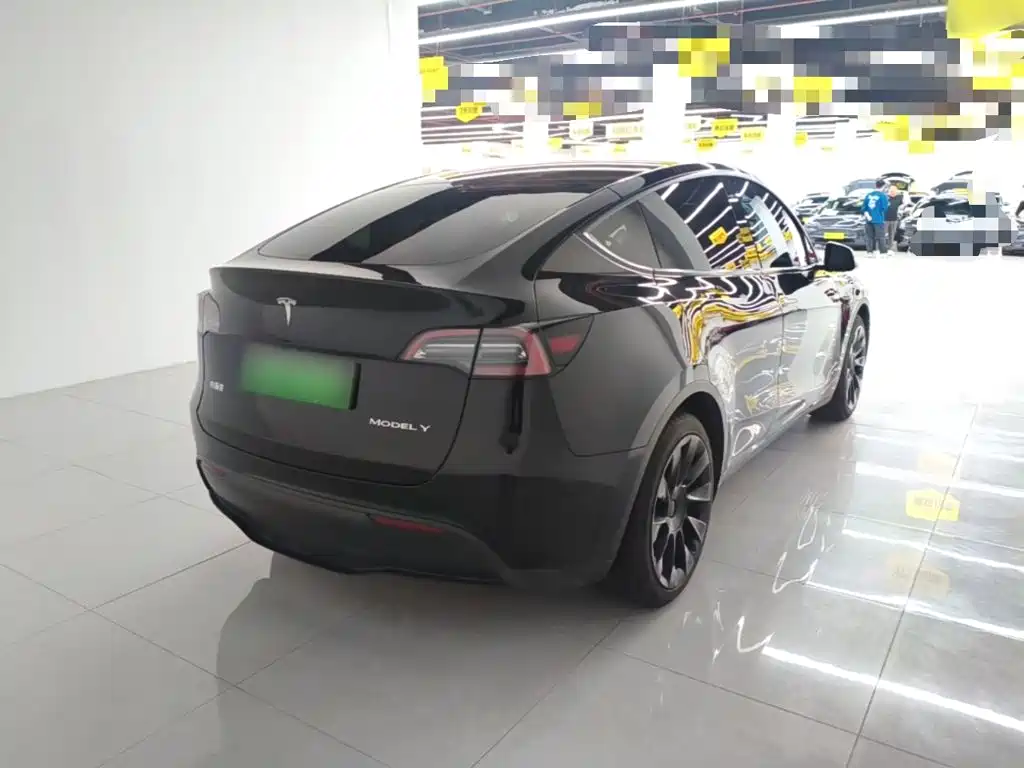 Tesla Model Y — миниатюра 7