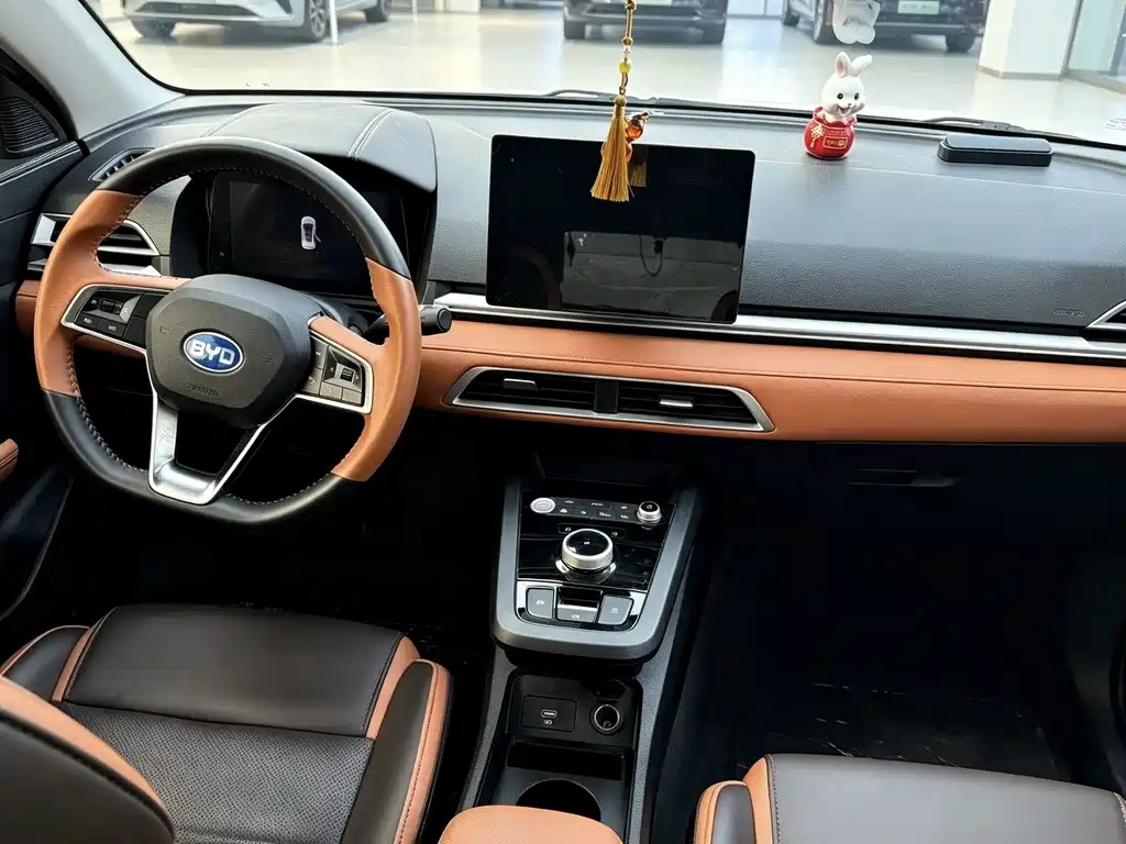BYD e2 — миниатюра 6