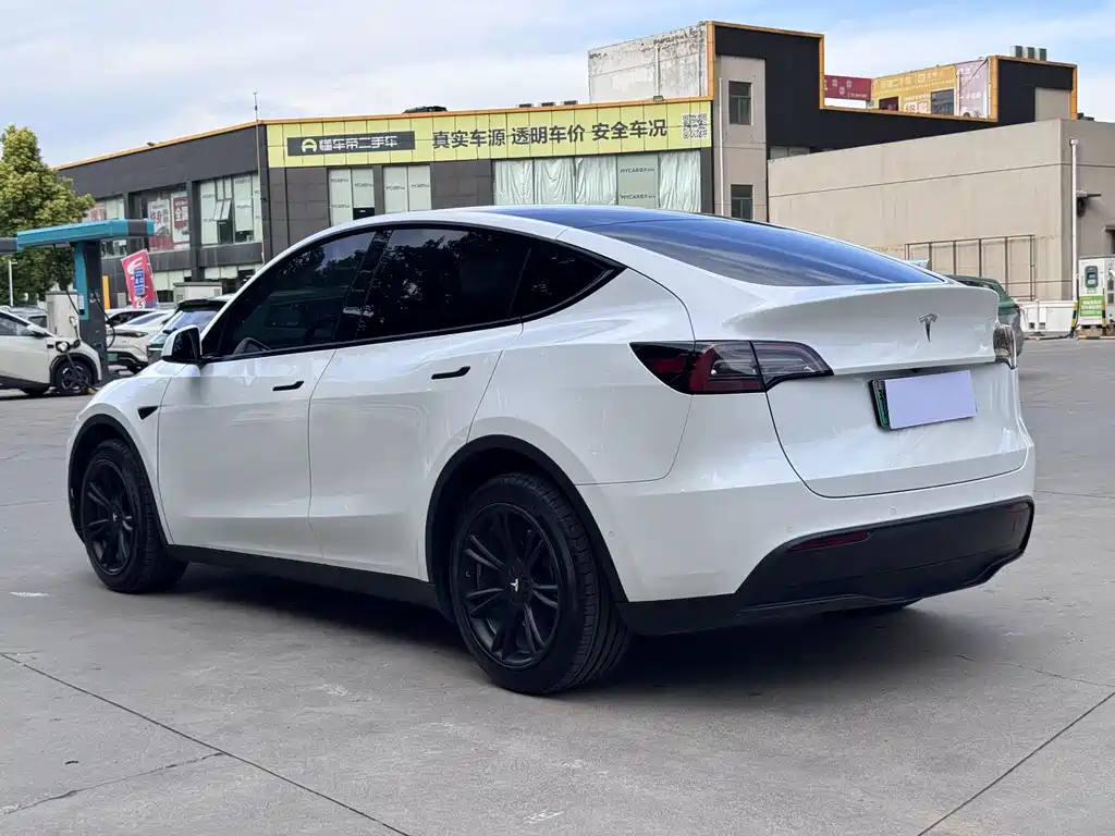 Tesla Model Y — миниатюра 3