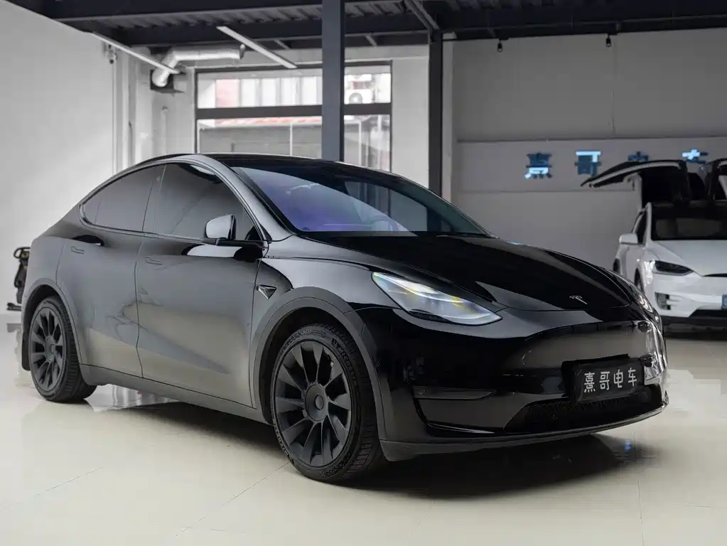Tesla Model Y — миниатюра 8