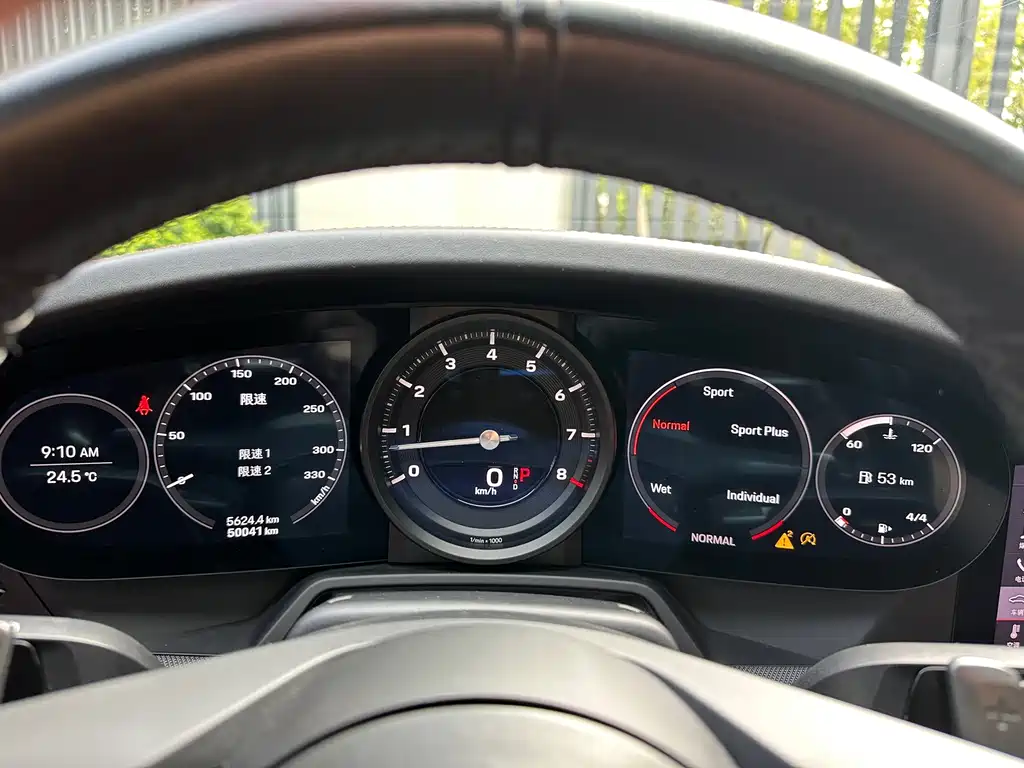 Porsche 911 — миниатюра 15