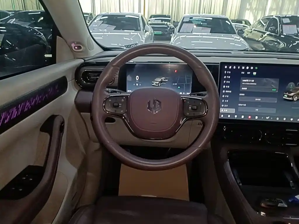 Leapmotor Leapmotor C11 — миниатюра 11