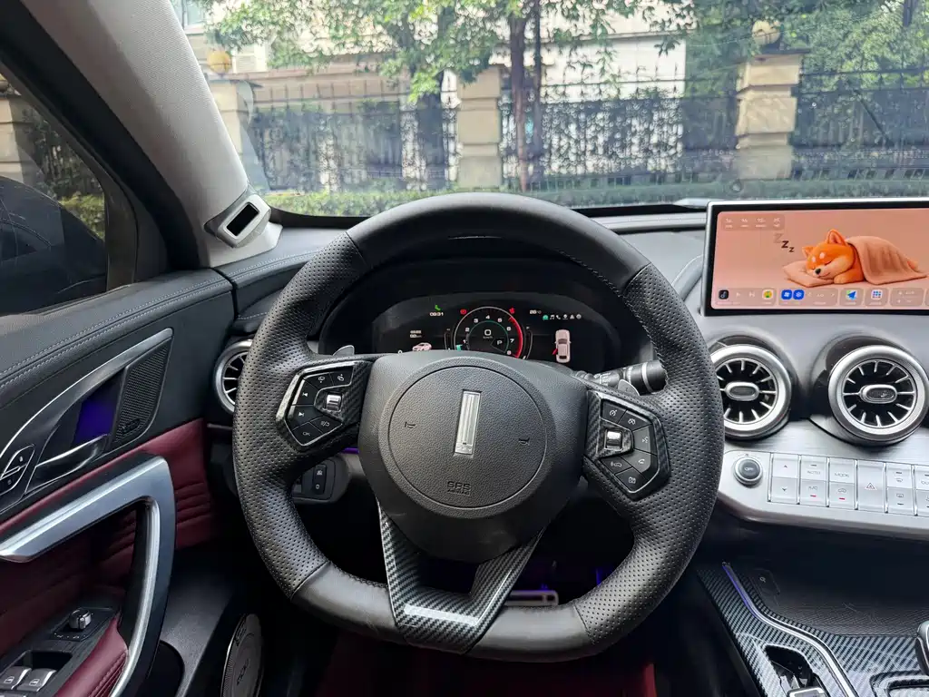 Wey Wey VV7 GT — миниатюра 8