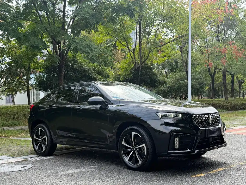 Wey Wey VV7 GT — миниатюра 3