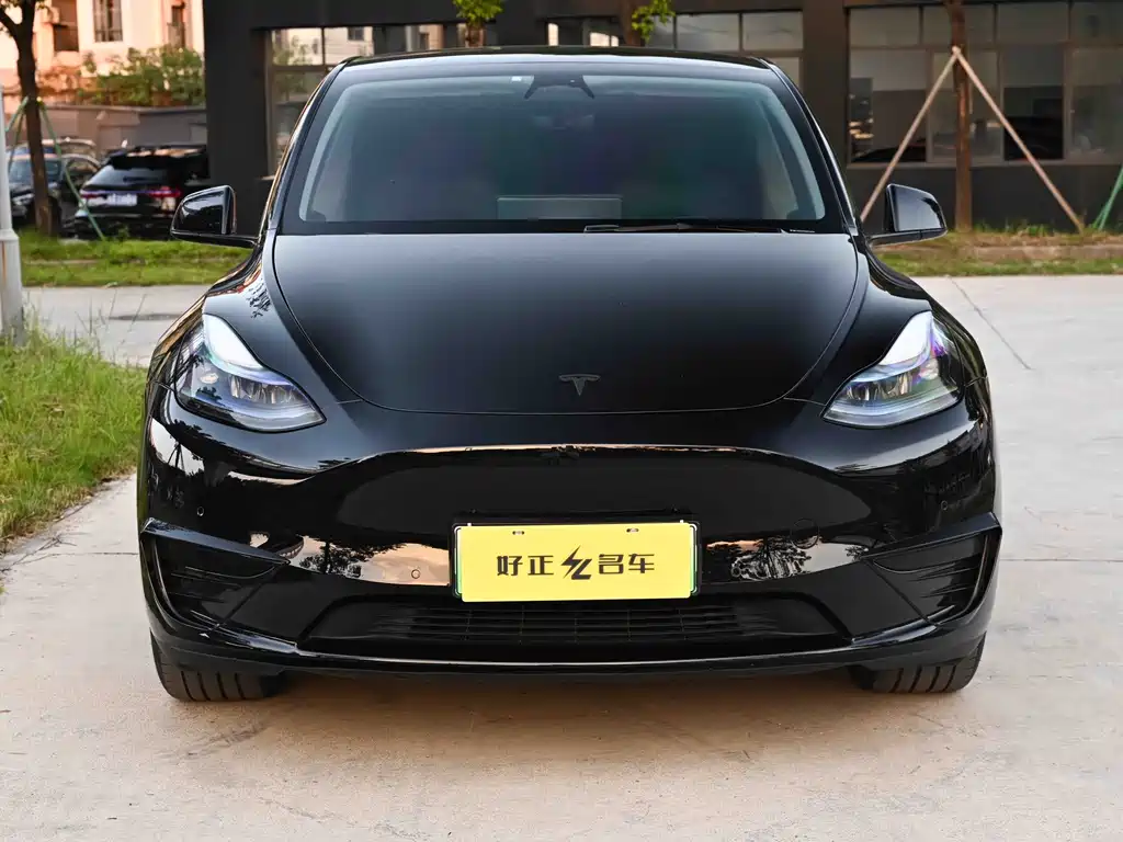 Tesla Model Y — миниатюра 2