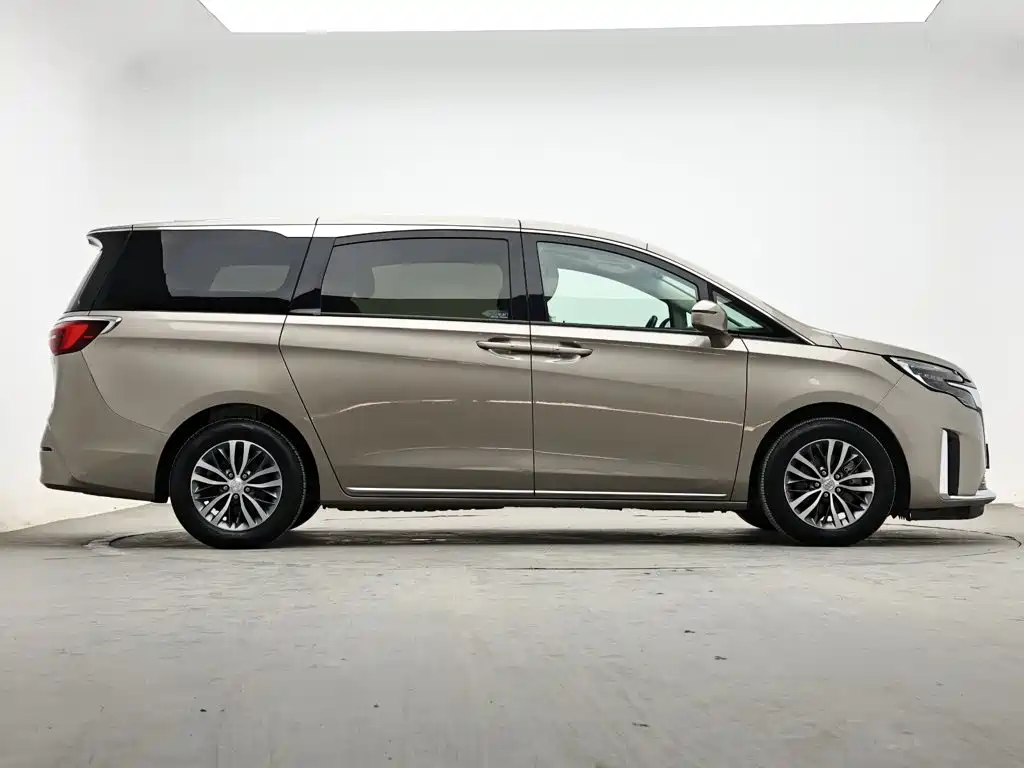 Buick GL8 — миниатюра 5