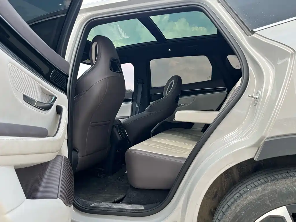 BYD PLUS New Energy — миниатюра 7