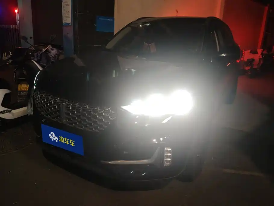 Wey Wey VV6