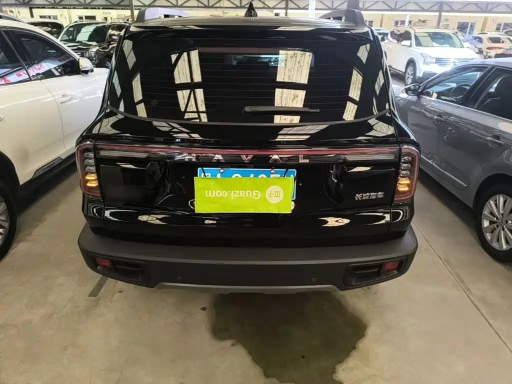 Haval 长城大狗 — миниатюра 6