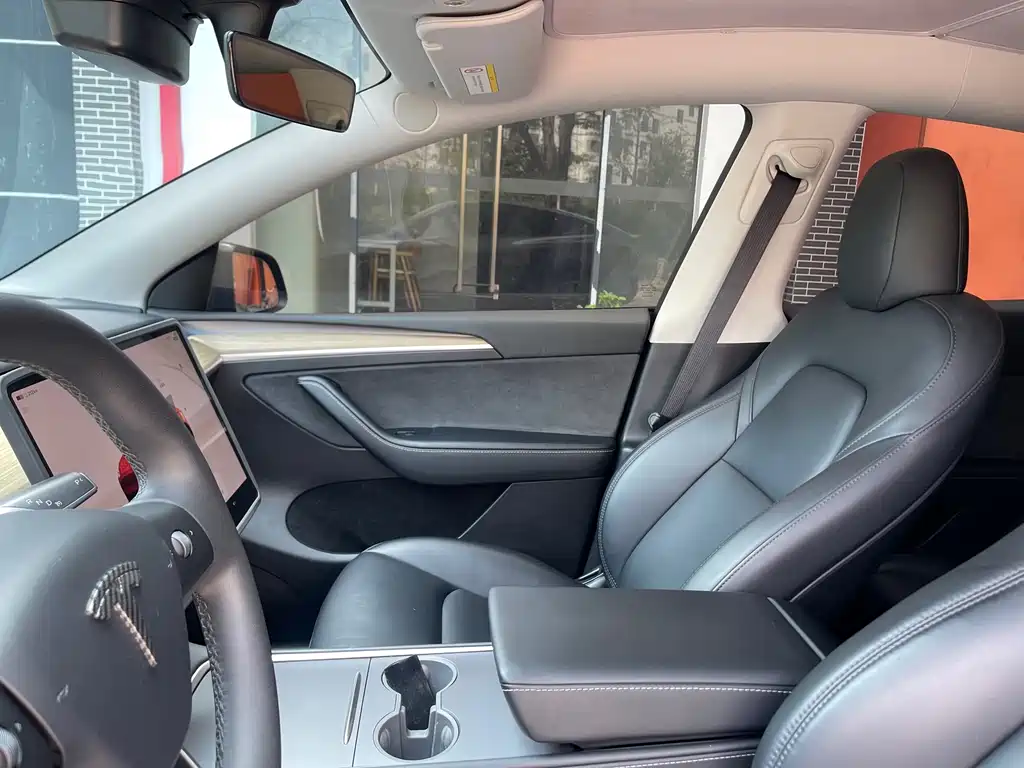 Tesla Model Y — миниатюра 20