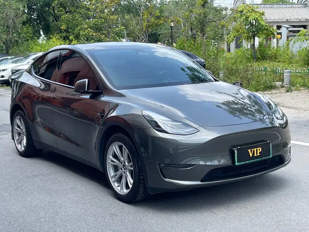 Tesla Model Y — миниатюра 3