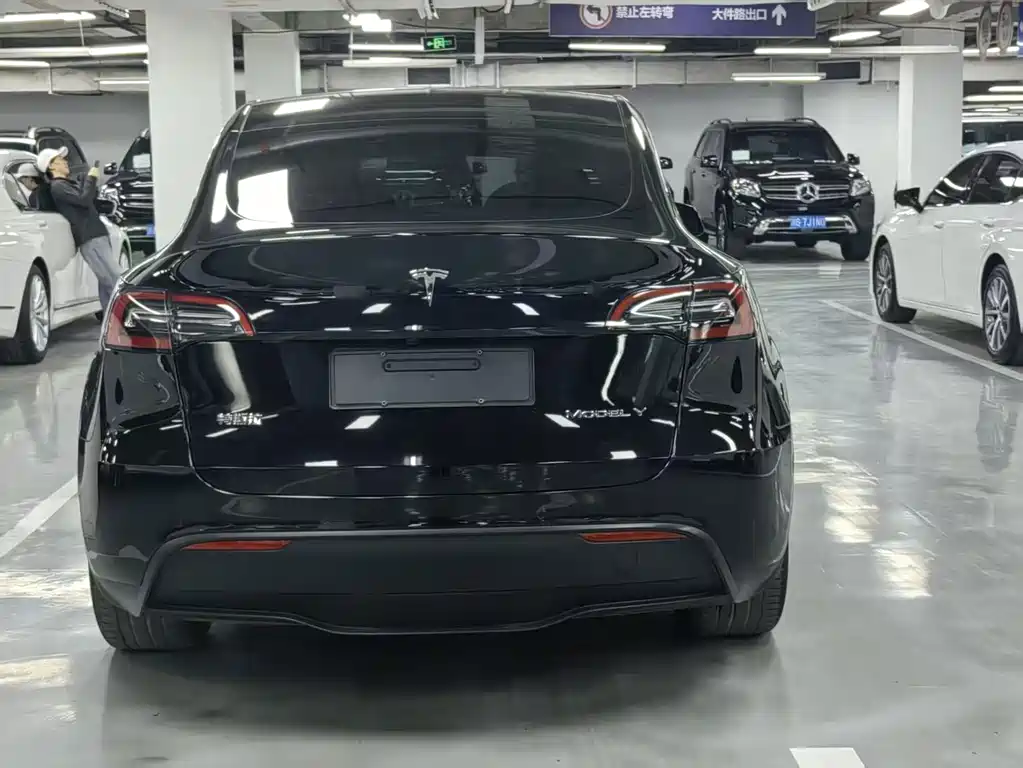 Tesla Model Y — миниатюра 18