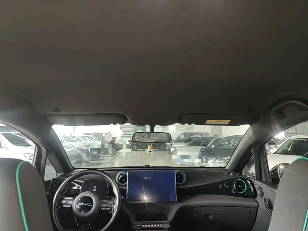 BYD Dolphin — миниатюра 18