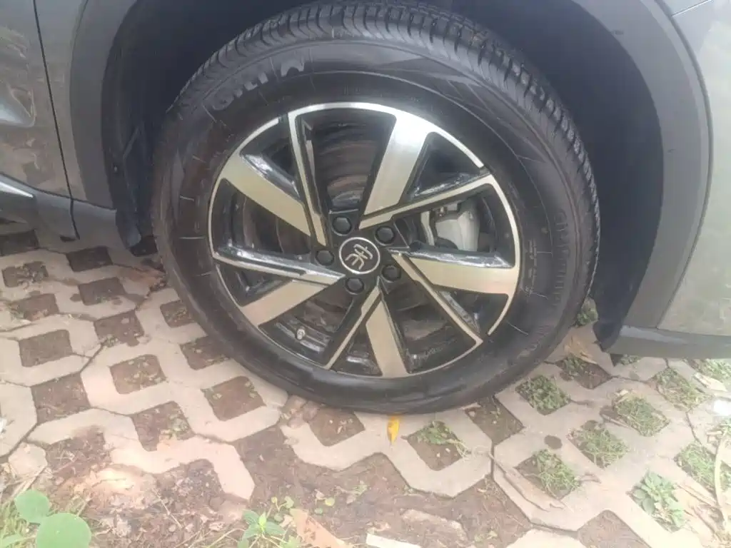 BYD Pro New Energy — миниатюра 25