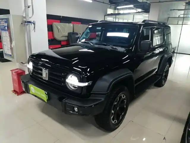 2025 TANK 300