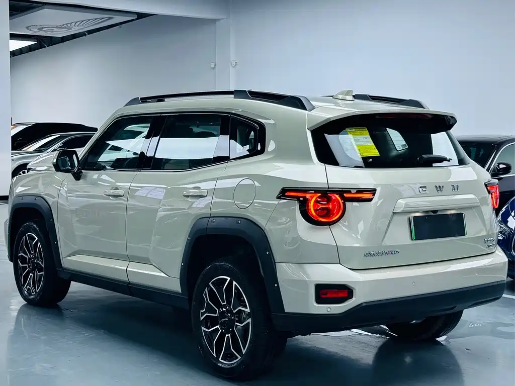 Haval Big Dog PLUS New Energy — миниатюра 13