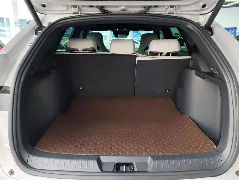 BYD SONGJIANG NEW ENERGY