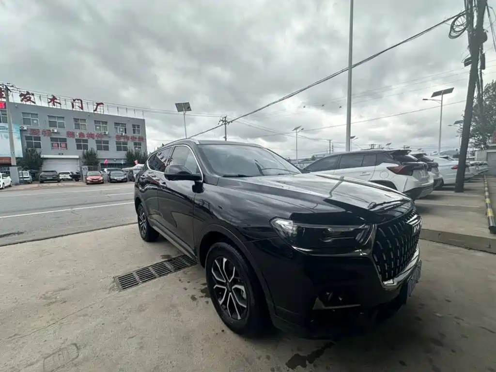 Haval H6 — миниатюра 3