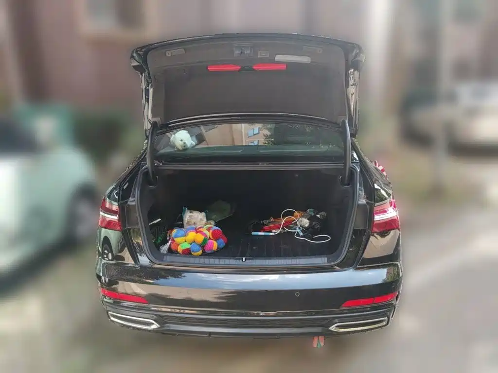 Audi A6L — миниатюра 10