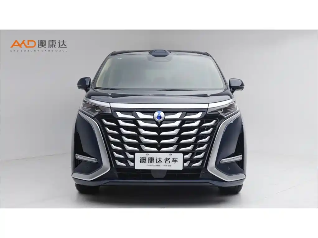 Denza Denza D9 — миниатюра 2
