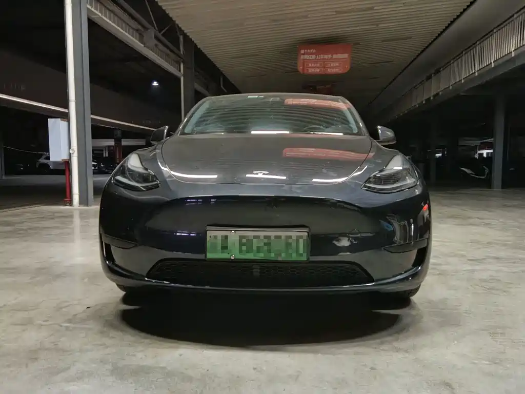 Tesla Model Y — миниатюра 2