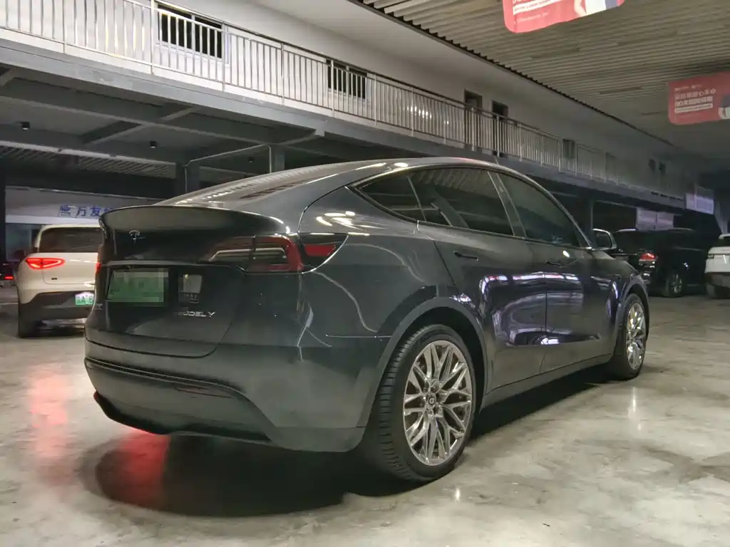 Tesla Model Y — миниатюра 3