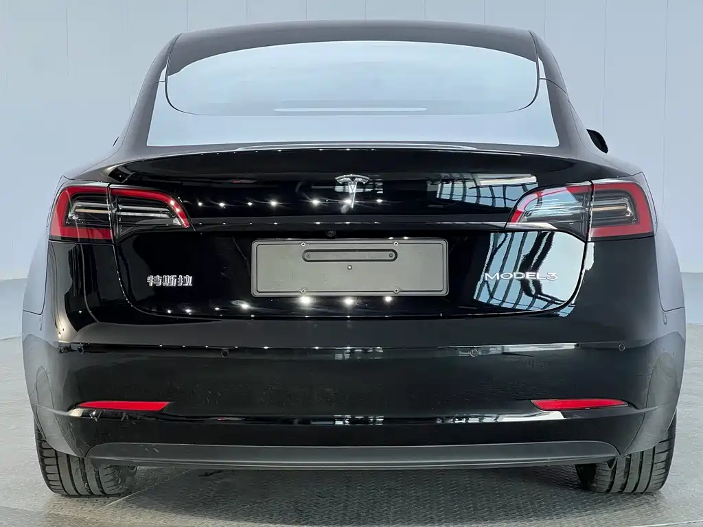 Tesla Model 3 — миниатюра 24