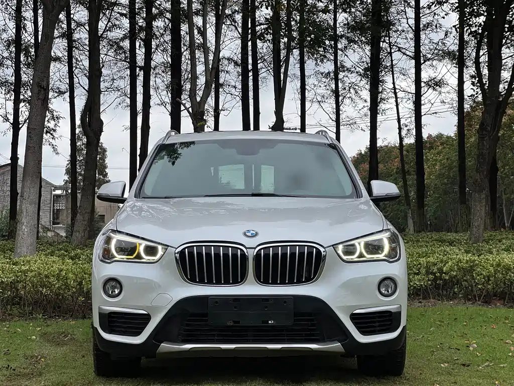 BMW X1 — миниатюра 2