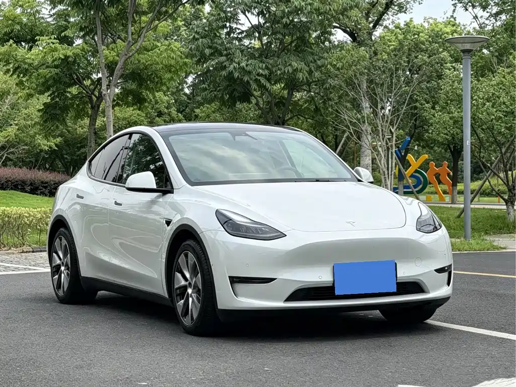 Tesla Model Y — миниатюра 3