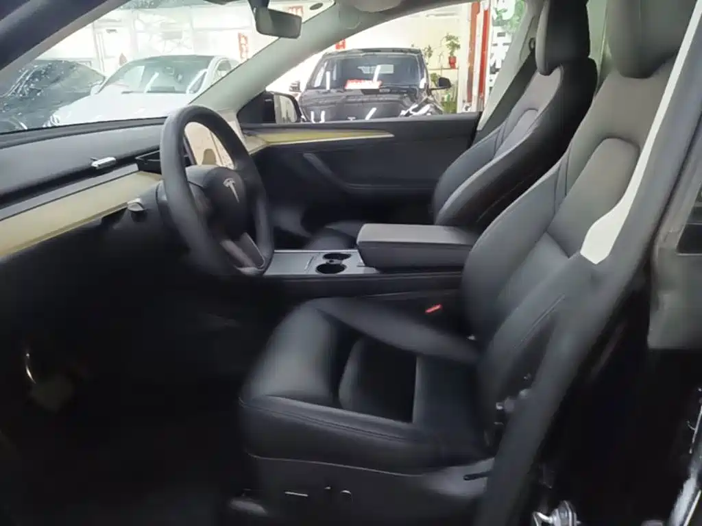Tesla Model Y — миниатюра 15