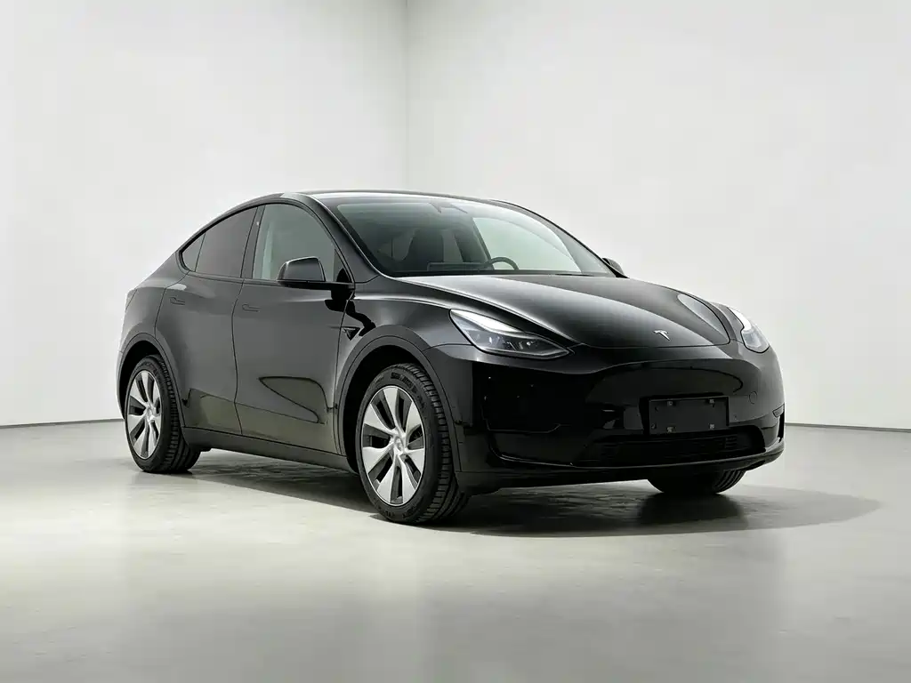 Tesla Model Y — миниатюра 2