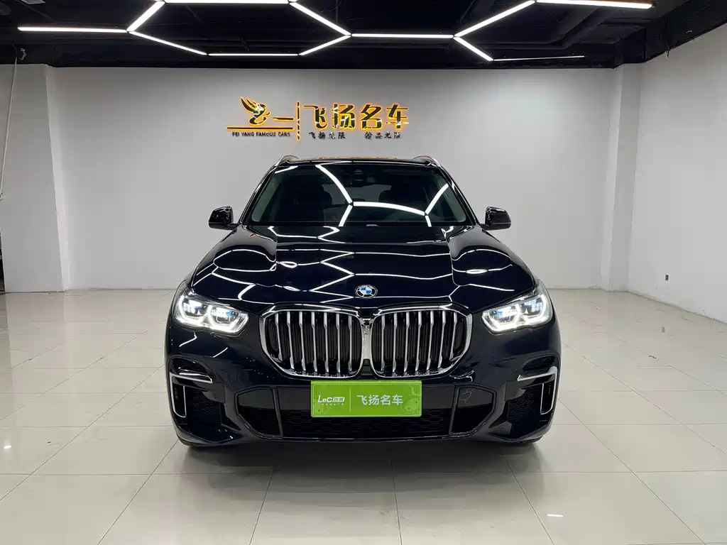 BMW X5 — миниатюра 2
