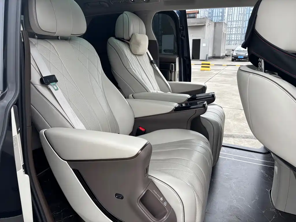 Denza Denza D9 — миниатюра 14