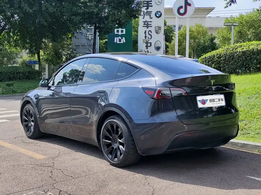 Tesla Model Y — миниатюра 4