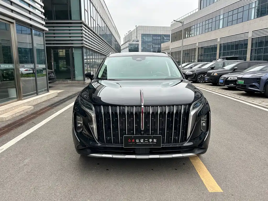 Hongqi Hongqi HS7 PHEV — миниатюра 2