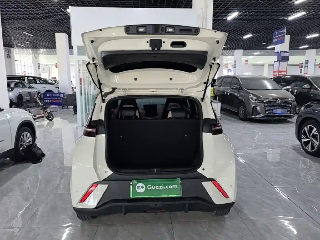 BYD Seagull — миниатюра 19