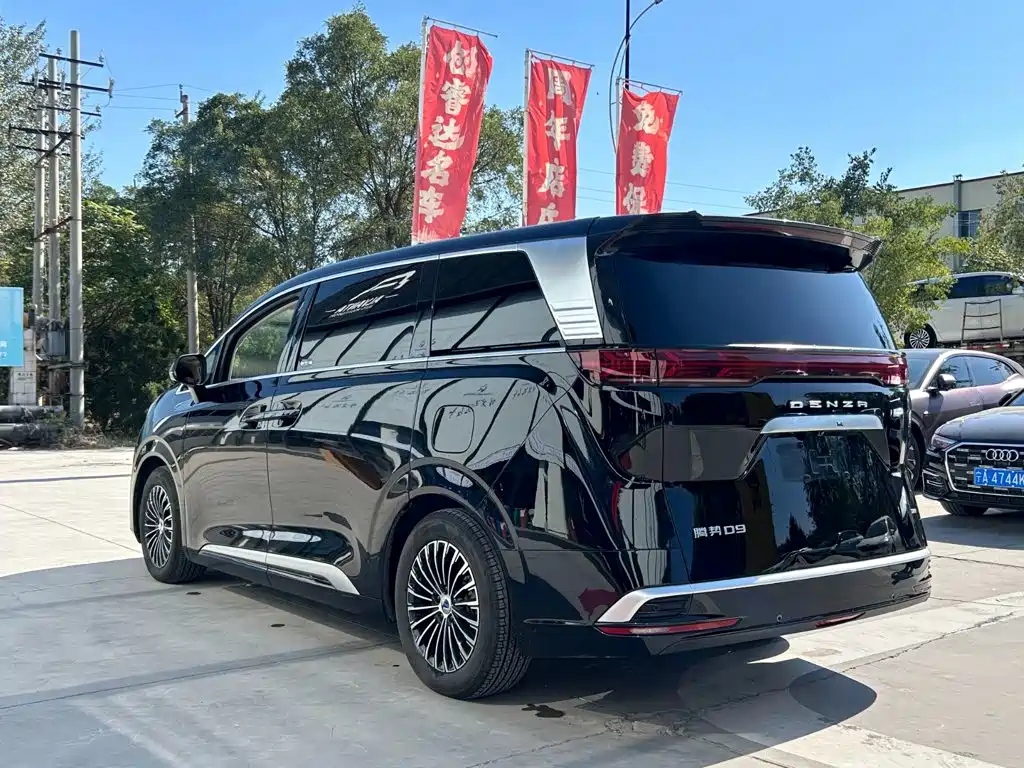 Denza Denza D9 — миниатюра 6