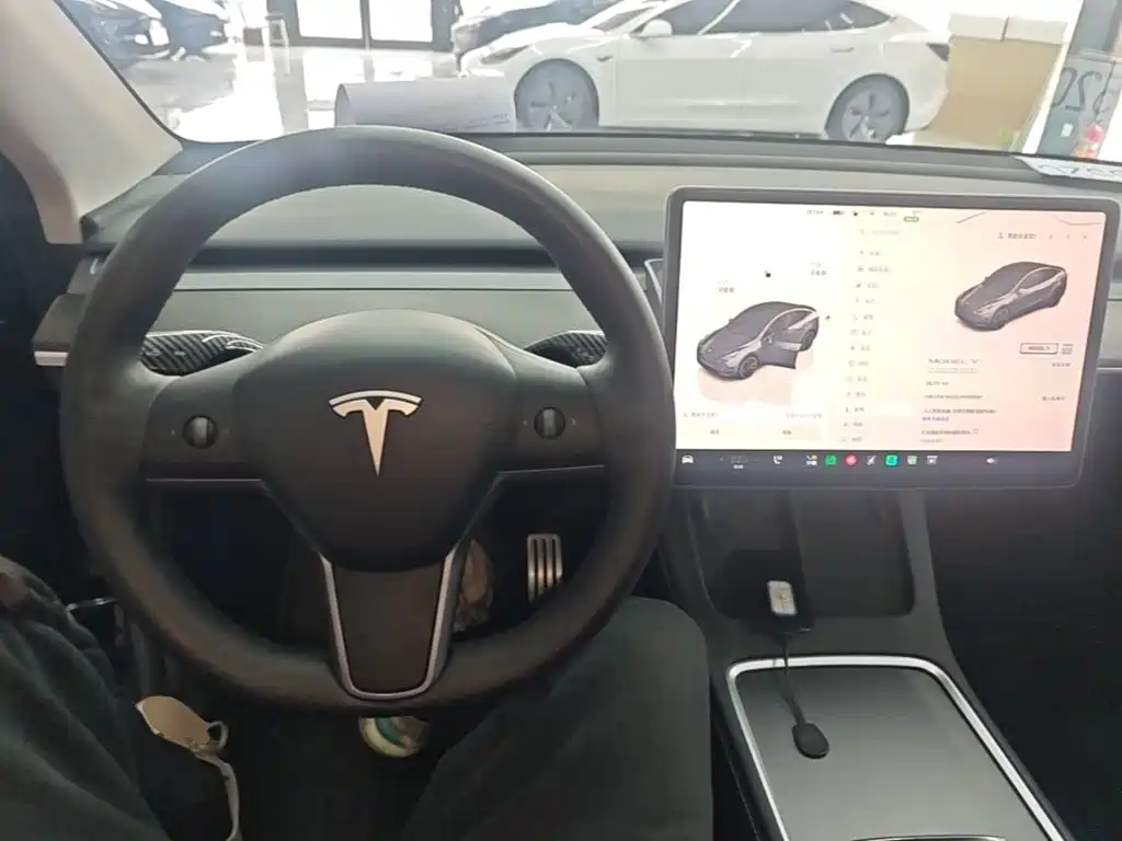 Tesla Model Y — миниатюра 11