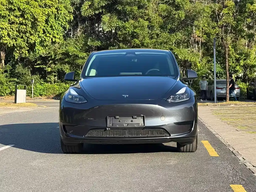 Tesla Model Y — миниатюра 2